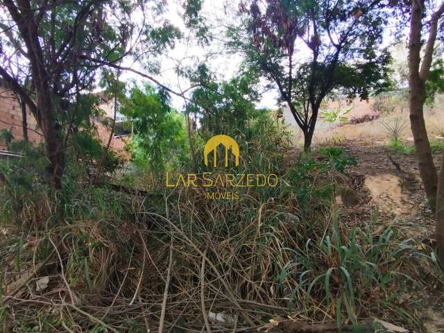 #1629 - Lote para Venda em Sarzedo - MG - 1