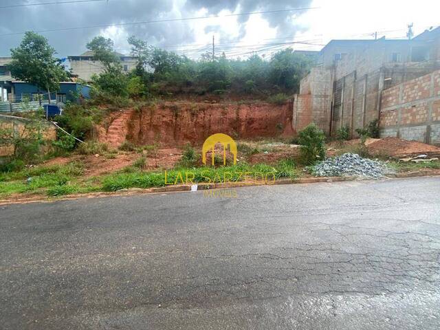 #860 - Lote para Venda em Sarzedo - MG - 1