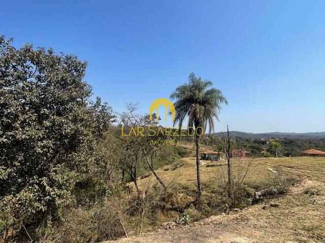 #362 - Lote para Venda em Sarzedo - MG - 3