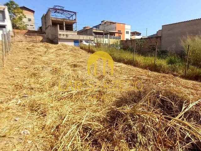 #740 - Lote para Venda em Sarzedo - MG - 3