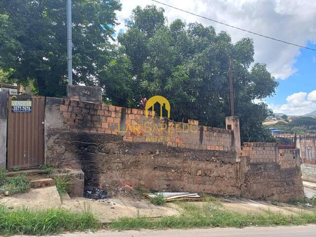 #737 - Lote para Venda em Sarzedo - MG - 3